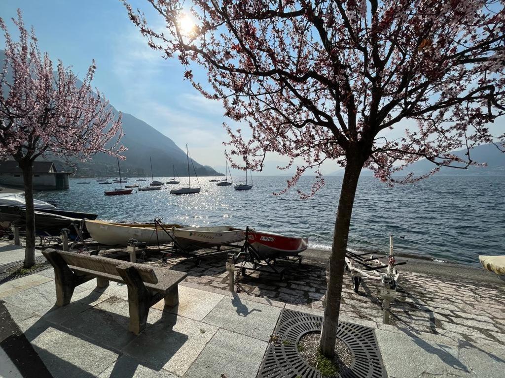 Il Sole Di Calde Lago Maggiore 504 Castelveccana Exterior photo