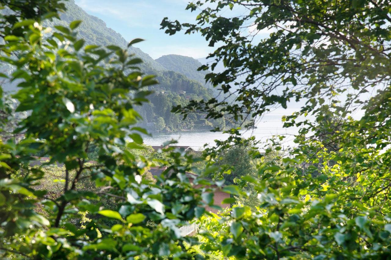 Il Sole Di Calde Lago Maggiore 504 Castelveccana Exterior photo